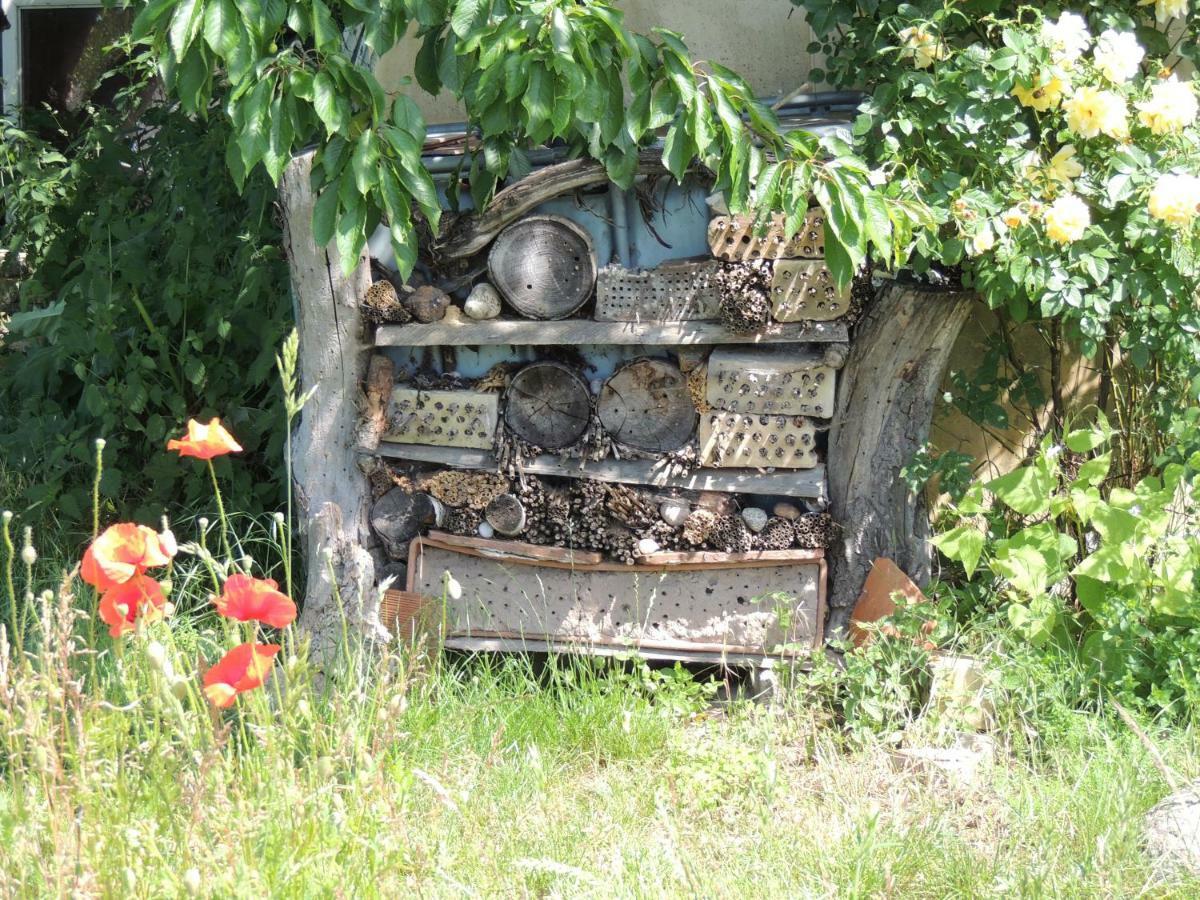 Kranichruf Schöneberg Exterior foto